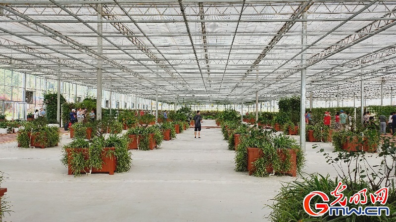 【發(fā)現(xiàn)最美鐵路】助力沿線產(chǎn)業(yè)發(fā)展 昌贛高鐵為脫貧攻堅(jiān)注入新活力 【發(fā)現(xiàn)最美鐵路】助力沿線產(chǎn)業(yè)發(fā)展 昌贛高鐵為脫貧攻堅(jiān)注入新活力